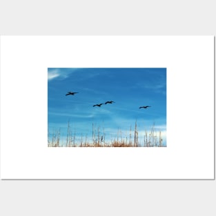 Flying Lessons Posters and Art